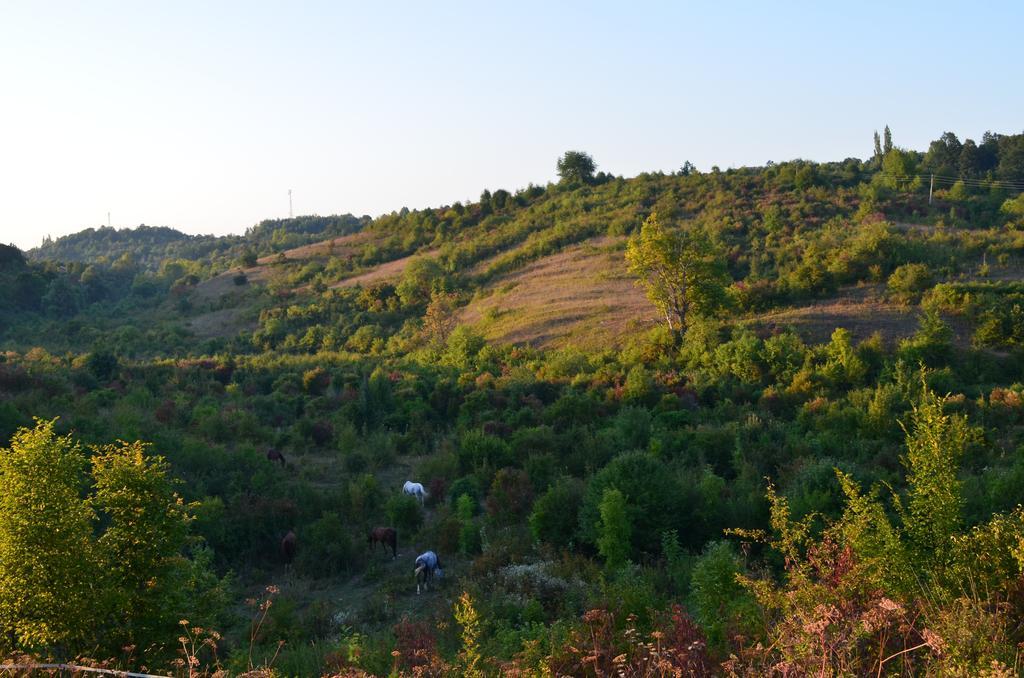 Apartments Fairy Land Rakovica Exterior photo